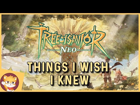 Tips I Wish I Knew Before I Started Playing | Tree of Savior Neo