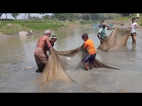 net fishing in village || Amazing Automatic Longline Fishing Net Catch Giant Fish|| rsl fish cutting