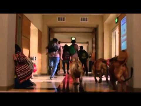 Glee 6.01 (Clip 'New Principal')