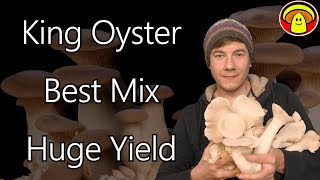 How to Grow King Oyster Mushroom: The Best Mixture