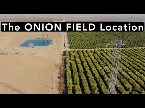 THE LOCATION OF THE ONION FIELD MURDER CASE