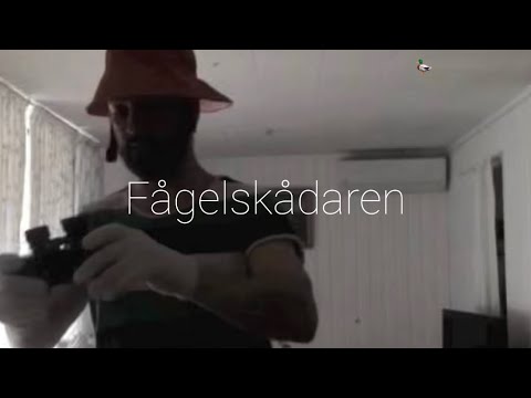 Fågelskådaren