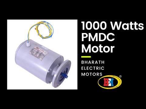 PM11 12V 3000 RPM, Permanent Magnet DC Motor