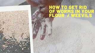 Get rid of worms/ weevils from your flour. Cake flour, Bread Flour, Rice Flour, Oat Four, wheat four