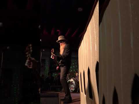 Thumbnail for The Jungle Show . Live at Antone’s Austin.Billy F Gibbons ,Mike Flanigin, Sue foley ,Chris Layton by Sue Foley