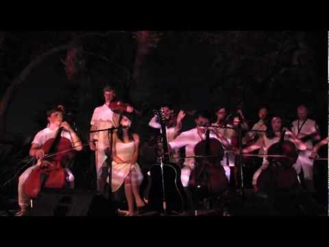 Alligator Teeth - Mother Falcon at Laguna Gloria