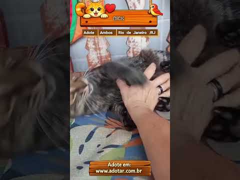 Vídeo de RICK