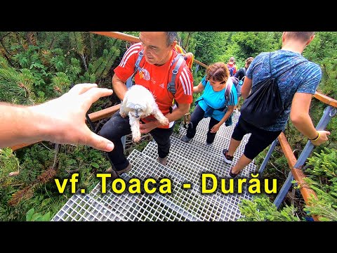 Traseu complet Ceahlau: Vf. Toaca - cab Fantanele - statiunea Durau (1 august 2020)