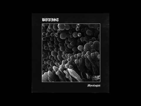 Bovist (Netherlands) - Mycologist (Album 2016)