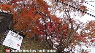 preview picture of video '広島の風景 2014 秋 Part 91 鳳源寺 11.21 1/2 広島県三次市 Scenery of Hiroshima 2014 Autumn,Hogenji Templ,Miyoshi'