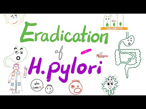 Eradication of Helicobacter Pylori Bacteria 🦠 | The Triple Regimen & The Quadruple Regimen