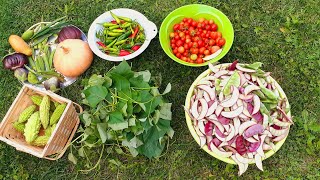 Harvesting beautiful vegetables 😋 🥰😍