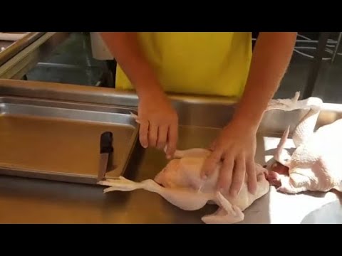 Efficient Chicken Processing: A Step-by-Step Guide