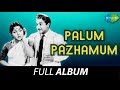Palum Pazhamum Full Album Sivaji Ganesan B Saroja Devi Viswanthan Ramamoorthy