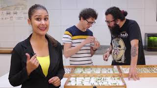 Miniatura do vídeo