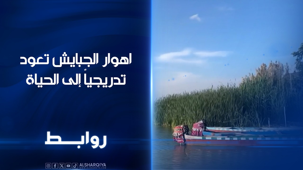 فيديو | اهوار الجبايش تعودتدريجياً إلى الحياة | روابط