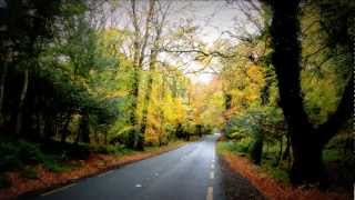 Cherish the Ladies -  A Neansai Mhile Gra