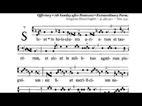 Sicut in holocaustis - Offertory 7th Sunday post Pentecost