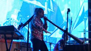 Wild Marmalade (Australia) @ Royal Belum World Drums Festival 2013