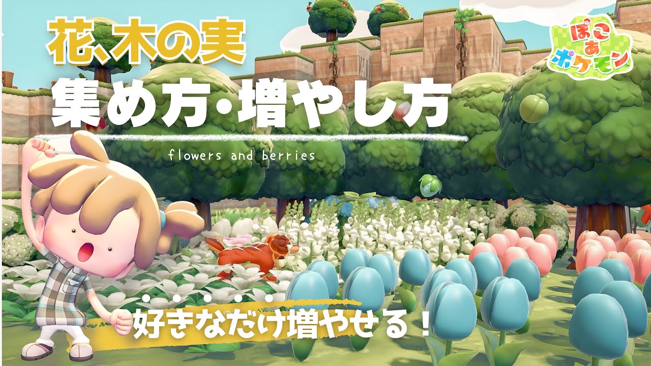 【ぽこポケ】花・木の実の集め方と増やし方 | 好きなだけ増やせる【pokopia】
