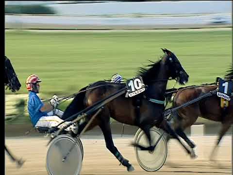 Trotto 11/05/2018 - 7ª corsa