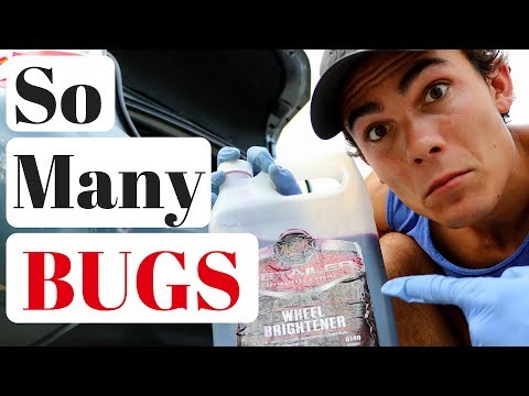 Bug Removal From Car Paint: Meguiars Wheel Brightener