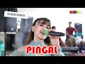PINGAL Cover LINDA MAYA PJH MUSIK