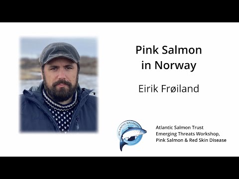 Eirik Frøiland, Norwegian Environment Agency - Pink Salmon in Norway