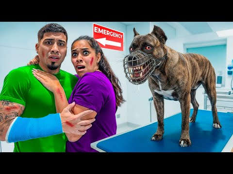 Our Dog Keeps BITING People! HELP! 