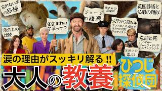 英国が分かる!!映画『ひつじ探偵団』解説と考察!! 感想レビュー ヒュー・ジャックマンやのインタビュー 冬生まれの羊の意味 英国葬儀と仏教 原作比較 ジョージの深い語源 妻の場所 羊飼いの年収