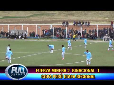 FUERZA MINERA BINACIONAL