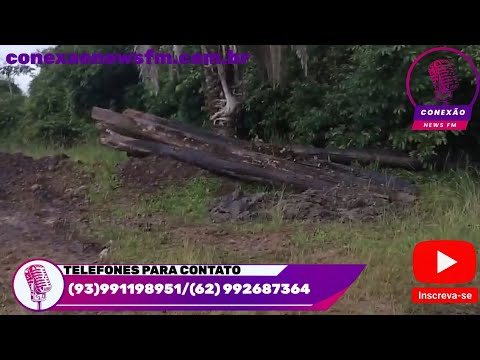 Denúncias de Moradores da Região da Vereda Comprida sobre a Ponte que