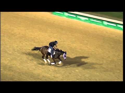 Dreaming of Julia 0502