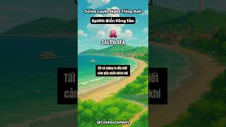 📍EP 290: Biển Vũng Tàu  #englishlistening