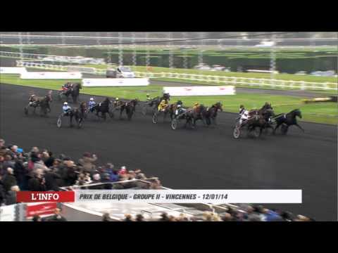 Vincennes - 12/01/14 - prix de Belgique