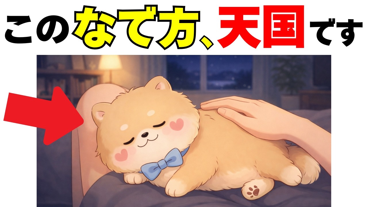 【とろけちゃう】愛犬が本当に幸せを感じる撫で方の極意｜犬の厳選雑学