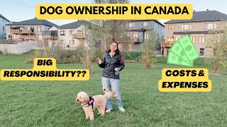 Cost of owning a Dog in Canada | Dog Ownership | Expenses | Experience | Responsibility
