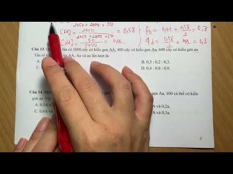 TRẮC NGHIỆM CẤU TRÚC DI TRUYỀN QUẦN THỂ PHẦN 1 [SINH 12]