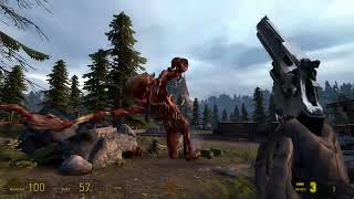 Half life 2 DownFall