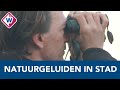 Ecoloog naast lege A12: 'Ik hoor de pimpelmees, tjiftjaf en koolmees langs de oprit - OMROEP WEST