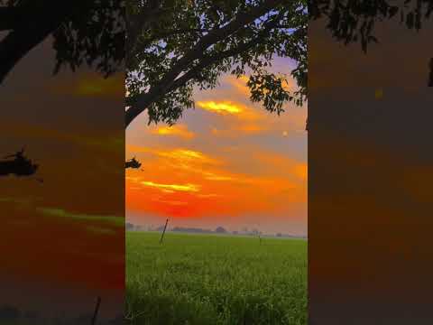 sunrise ☀️.         #sunrise #viral #mahika #happy #nature #madhav