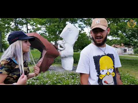 Gipsy Dajko / Bud barvalo