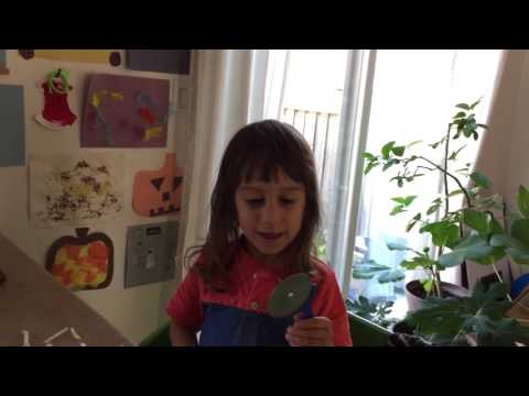 Felix taitei Mai 2017