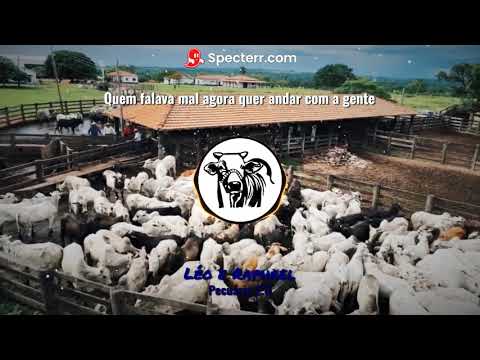 Pecuária 2.0 - Léo e Raphael +letra!