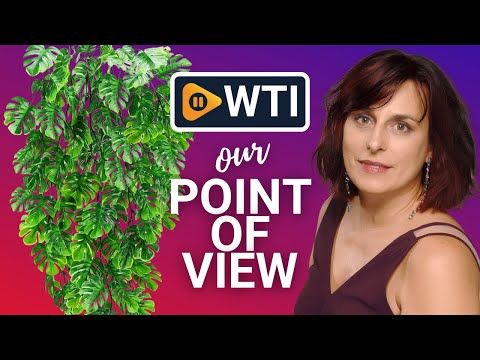Artificial Monstera - WTI product video review