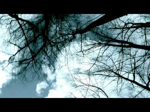 drew the architect mistwalker w: grayera 02:31