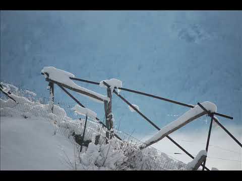 Meditazione sabato 1  dicembre 2018