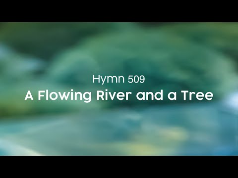 A Flowing River and a Tree - Hymn 509