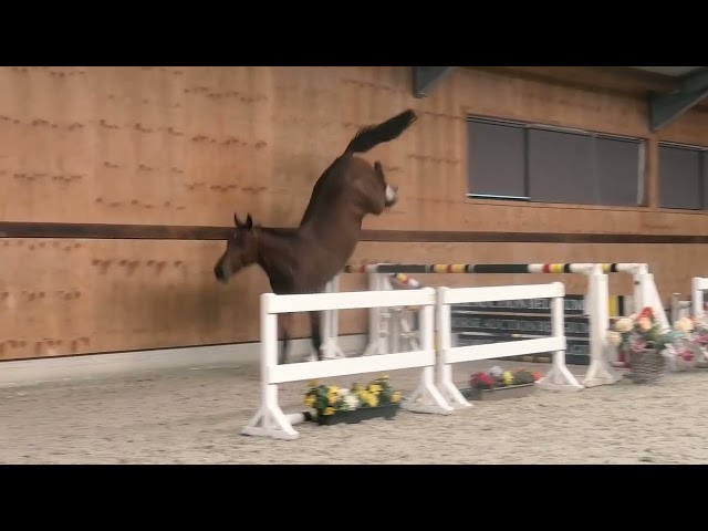 jumping