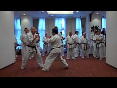【新極真会】2018 WKO Dan Grading Test Jacek Lamot SHINKYOKUSHINKAI KARATE